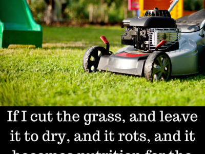 Question of the&nbsp;Day